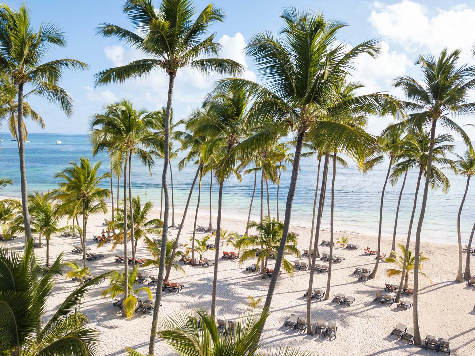 playa caribe paraiso oferta ultima hora